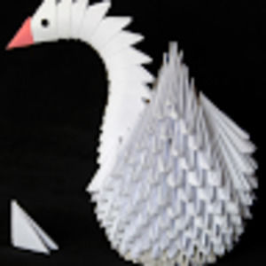 Meet your Posher, Fernando